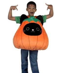 Squishmallows Calico The Cat Pumpkin Halloween Costume Youth One Size